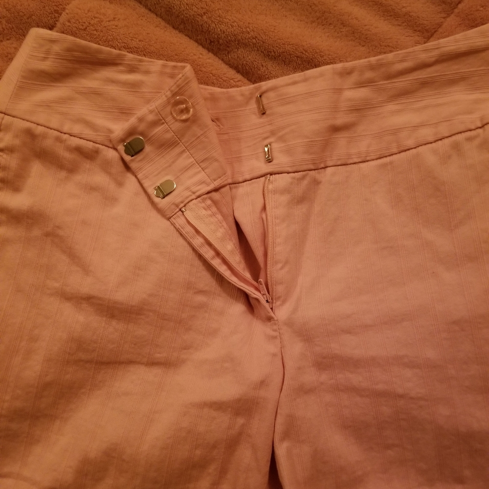 Baby Pink Pants Suit - Picture 9 of 11
